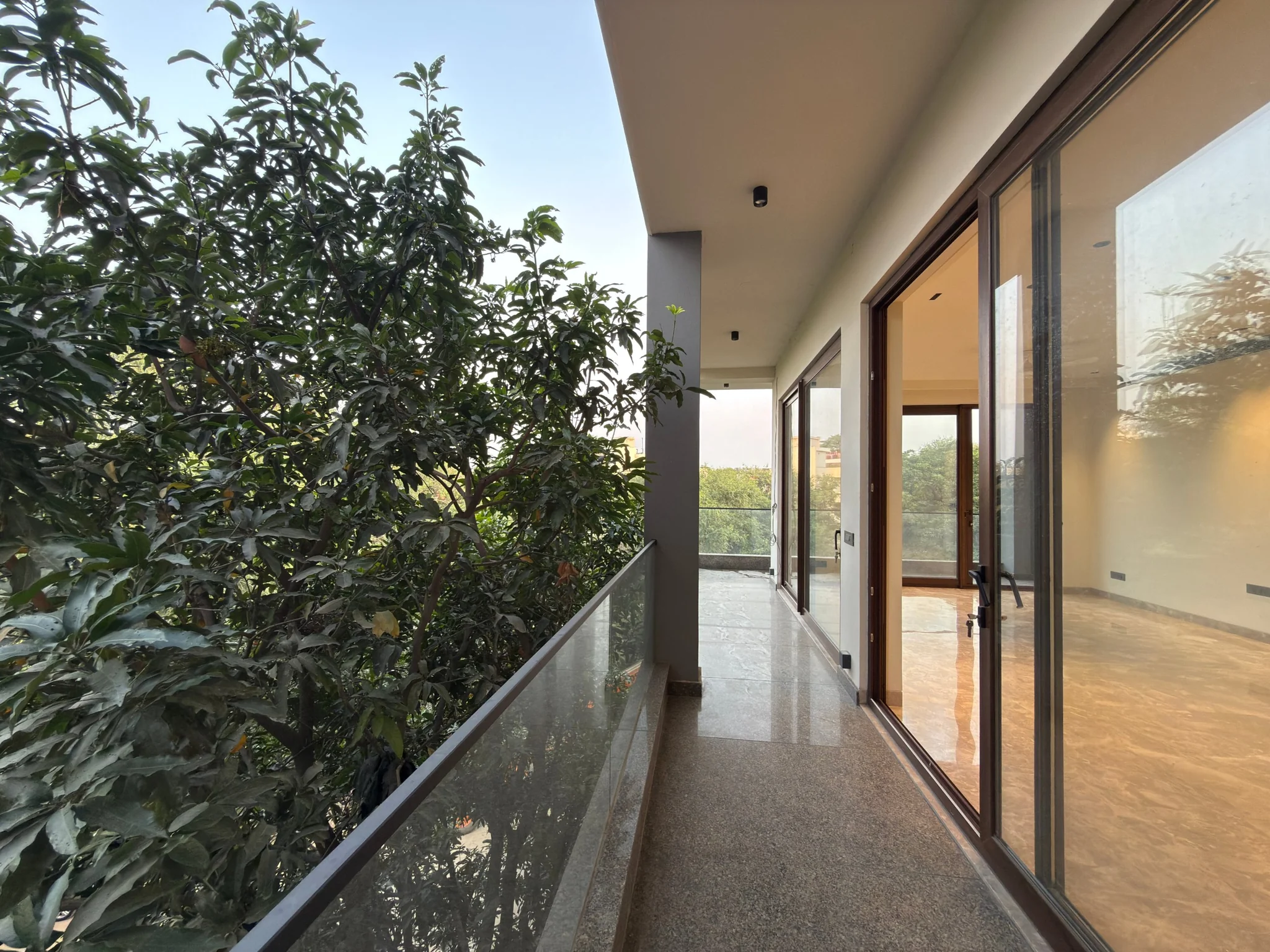 The balcony, beside the trees